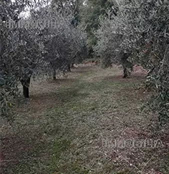 Foto annuncio 4