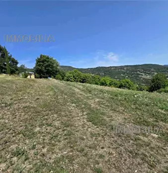 Foto annuncio 22