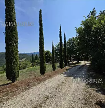 Foto annuncio 26