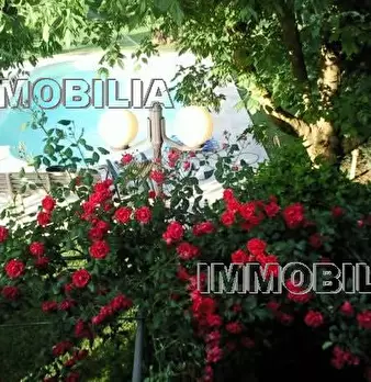 Foto annuncio 32
