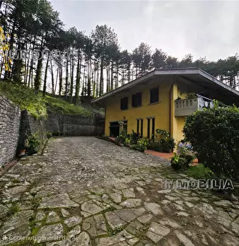 Foto annuncio 35