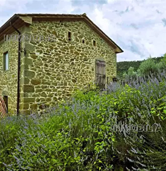 Foto annuncio 12