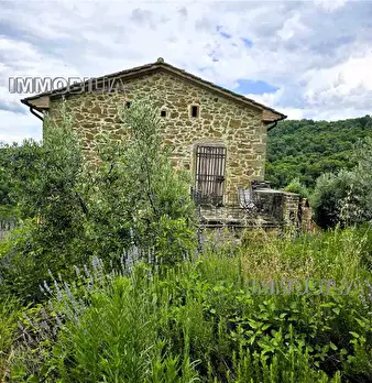 Foto annuncio 13