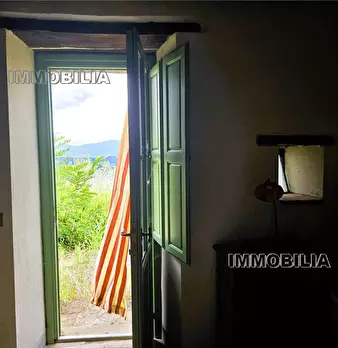 Foto annuncio 21