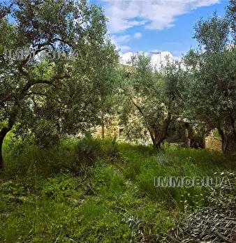 Foto annuncio 4