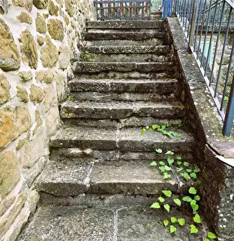 Foto annuncio 8