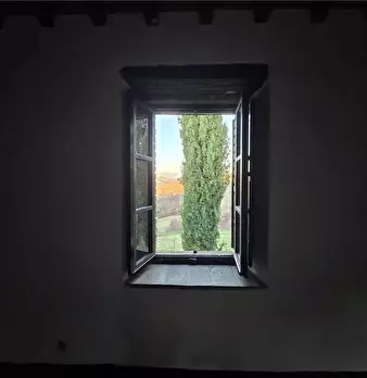 Foto annuncio 12