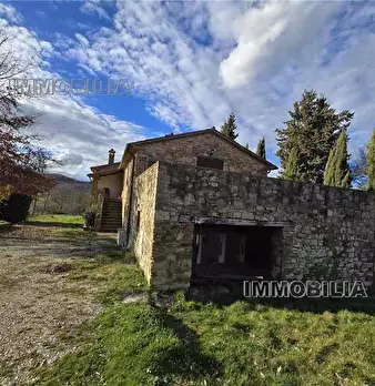 Foto annuncio 31