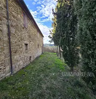 Foto annuncio 32