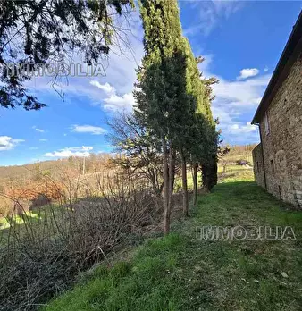 Foto annuncio 33