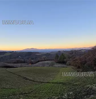 Foto annuncio 34