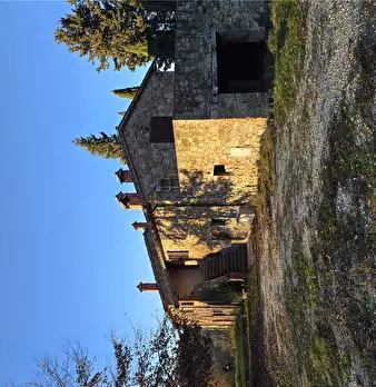 Foto annuncio 8