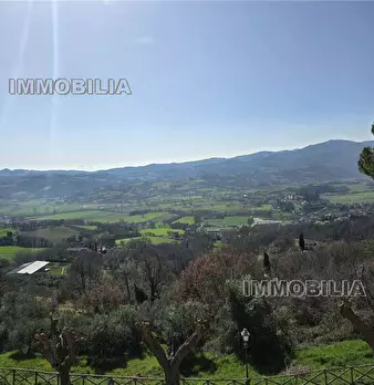 Foto annuncio 11