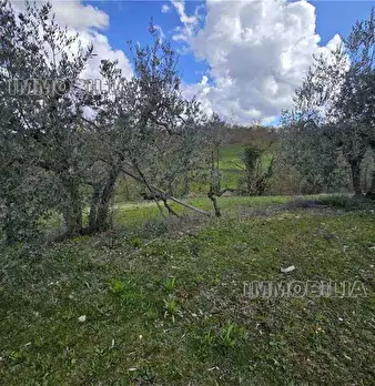 Foto annuncio 4