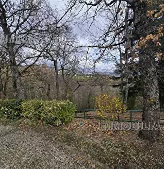 Foto annuncio 30