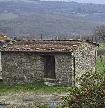 Foto annuncio 31