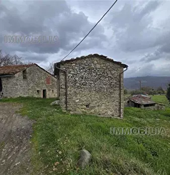 Foto annuncio 33