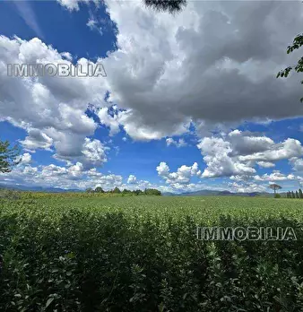 Foto annuncio 4