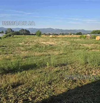 Foto annuncio 4