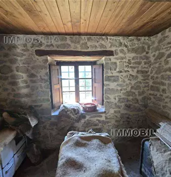Foto annuncio 31