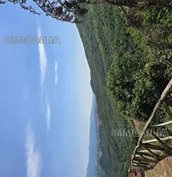 Foto annuncio 33