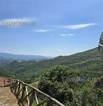 Foto annuncio 34