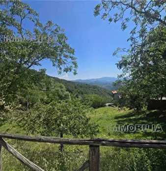 Foto annuncio 35