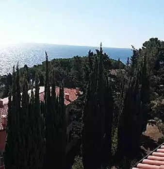 Foto annuncio 4