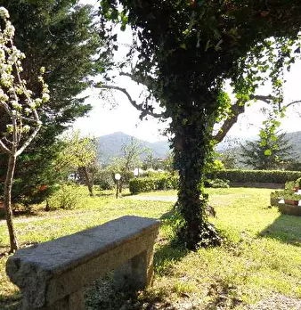 Foto annuncio 4