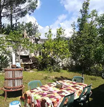 Foto annuncio 2