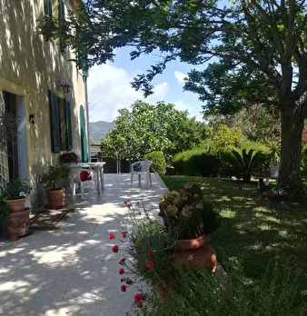 Foto annuncio 4