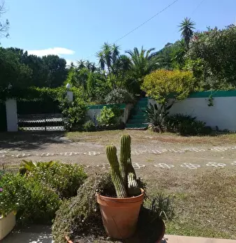 Foto annuncio 5
