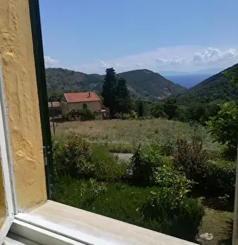 Foto annuncio 7
