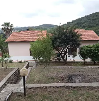 Foto annuncio 2