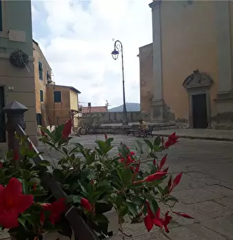 Foto annuncio 3