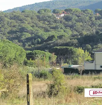 Foto annuncio 4
