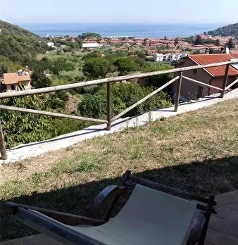 Foto annuncio 11