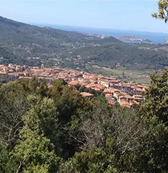 Foto annuncio 4