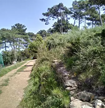 Foto annuncio 5