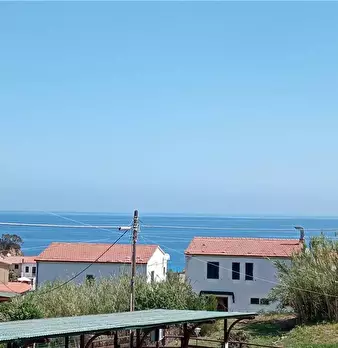Foto annuncio 12