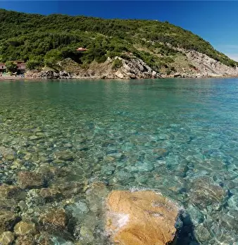 Foto annuncio 6