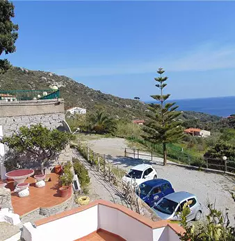 Foto annuncio 3