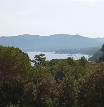 Foto annuncio 4