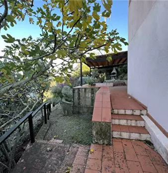 Foto annuncio 7
