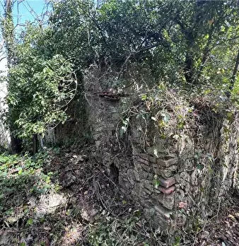 Foto annuncio 4