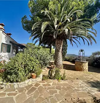 Foto annuncio 5