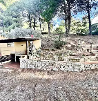 Foto annuncio 10