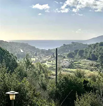 Foto annuncio 12