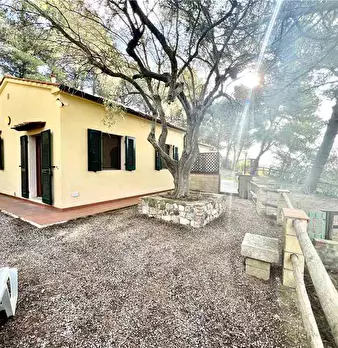 Foto annuncio 2