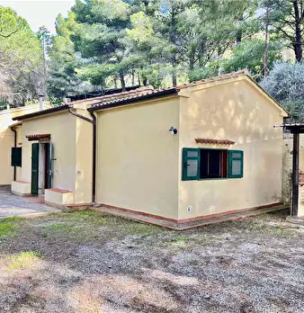 Foto annuncio 3